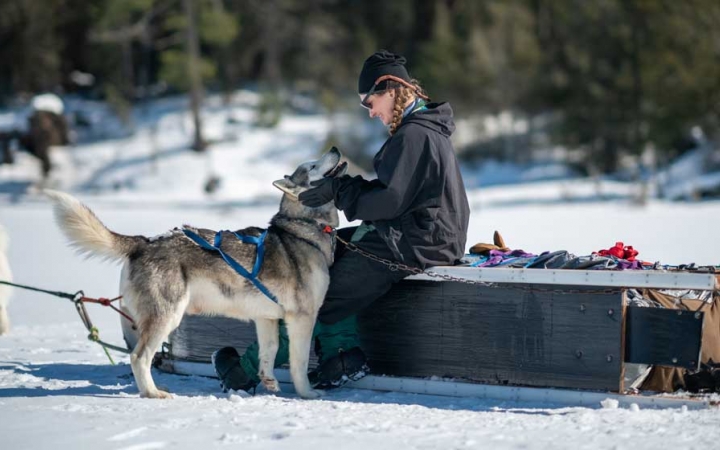 a person sits on a sled resting on its side and pets a sled dog